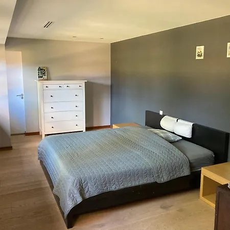 Maison Exceptionnelle Piscine Aussillon